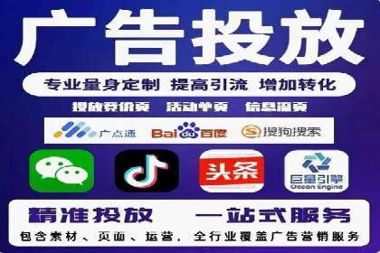 SEM搜索引擎优化成功案例，揭示优化策略与技巧